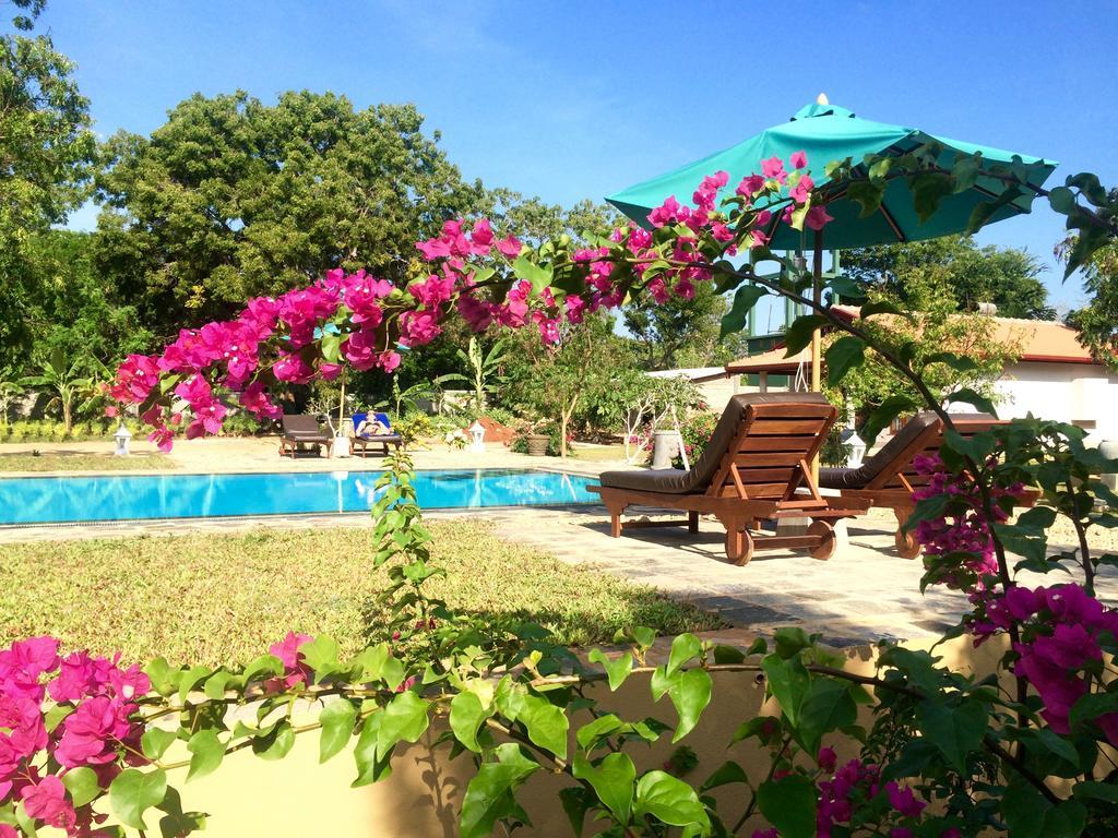Shangri-Lanka Village Tissamaharama Εξωτερικό φωτογραφία
